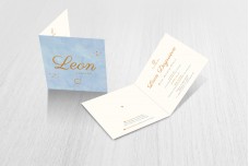 Blauw met bronzen leeuw Blauw met bronzen leeuw